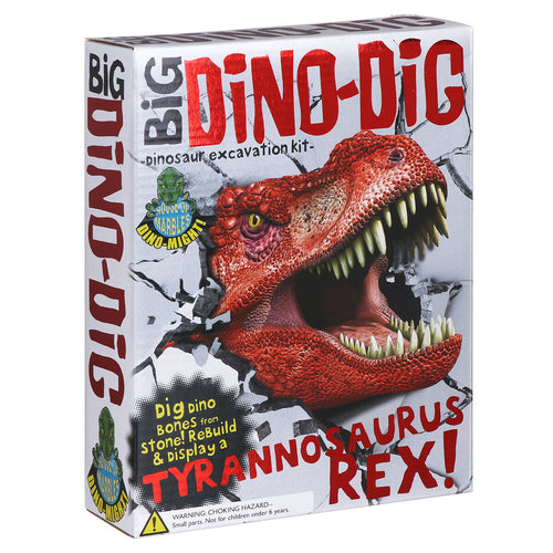 House of Marbles Dig & Discover Tyrannosaurus Rex The Bubble Room Toy Store