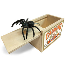 Load image into Gallery viewer, Spider Surprise Box The Bubble Room Toy Store Dublin