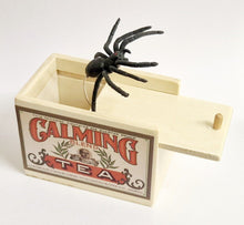 Load image into Gallery viewer, Spider Surprise Box The Bubble Room Toy Store Dublin