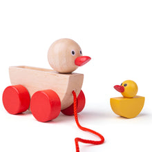 Load image into Gallery viewer, Bigjigs Duck and Duckling The Bubble Room  Toy Store Dublin